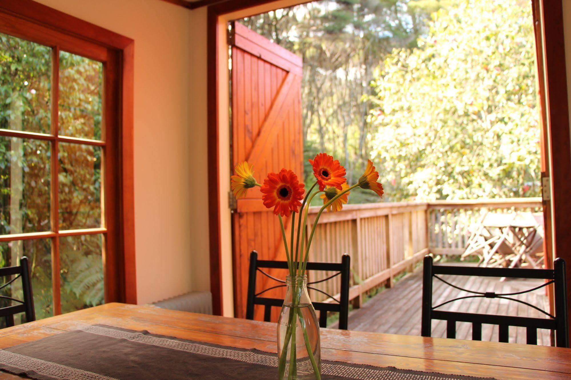 The Coromandel Treehouse Exterior foto