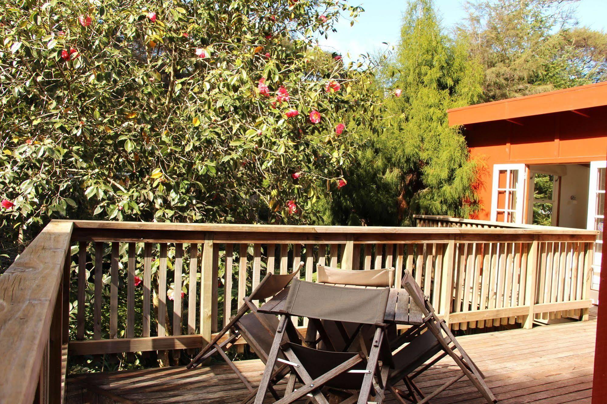 The Coromandel Treehouse Exterior foto
